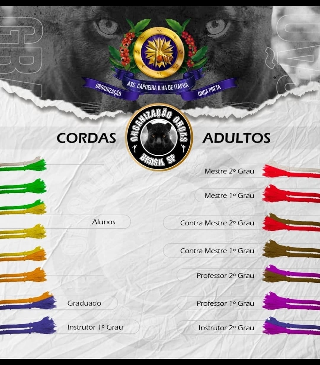 Graduación adultos Organização Onça